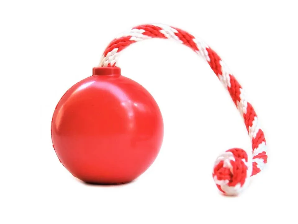 SodaPup USA-K9 Cherry Bomb Chew Toy - Blue / Large
